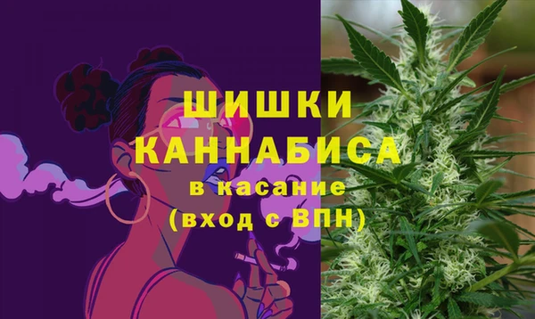 прущие грибы Лиски