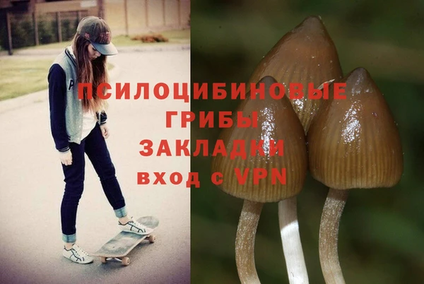 прущие грибы Лиски